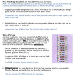 Cells exhibition lab answer key