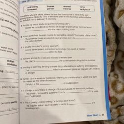 Vocab book level b answers